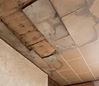 壁や屋根から雨漏り