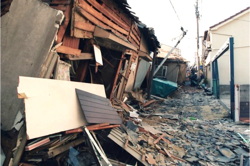 震災で倒壊した家はシロアリ被害に遭っていた？